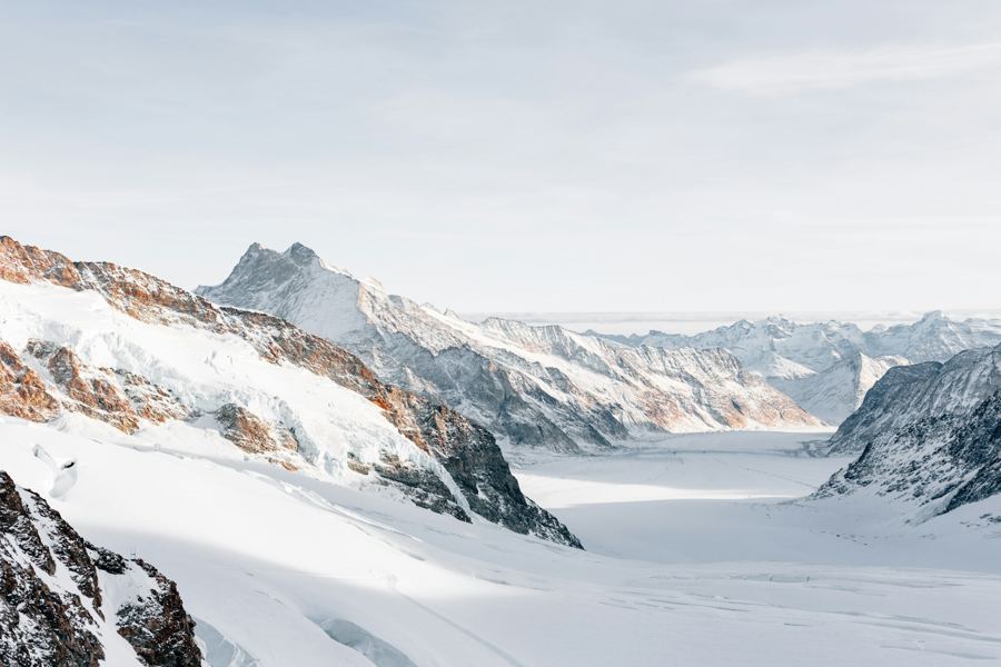 Verschneite Landschaft, Beispielbild aus der App